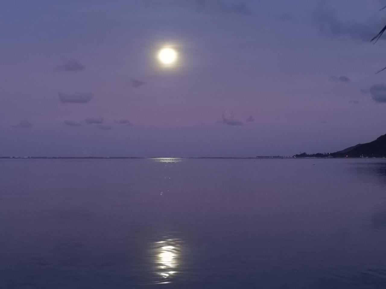 Lagoon Dream Moorea Exteriér fotografie